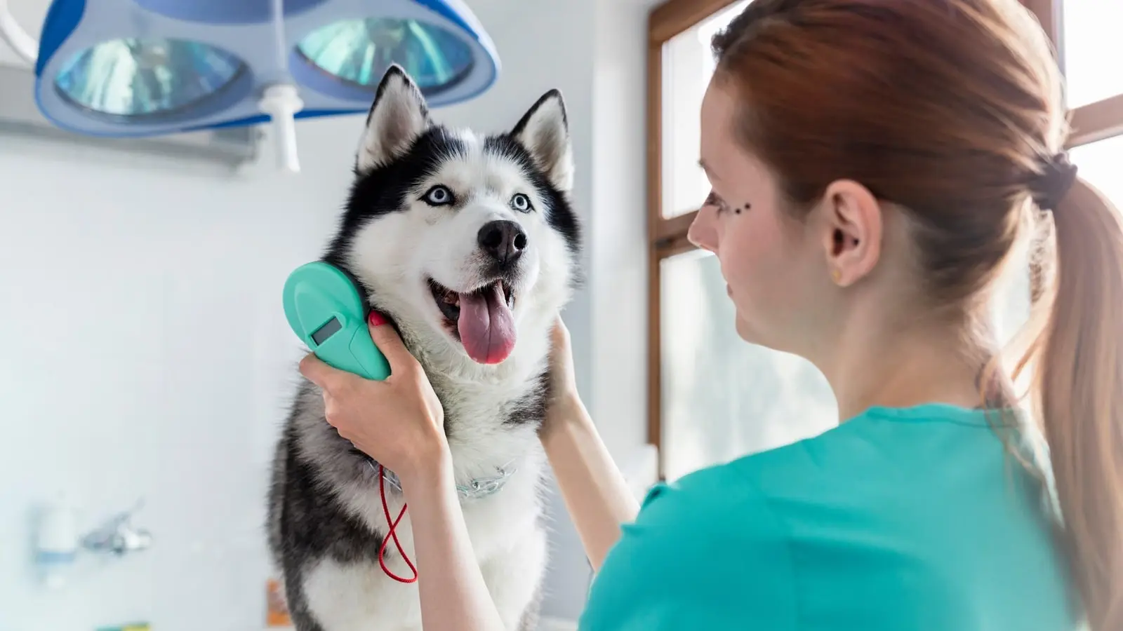 Looking for the best jobs in 2025? A study of Indeed reveals Veterinarian, Sales Rep, and Physician as top roles with high growth and earning potential. Start planning your career today!